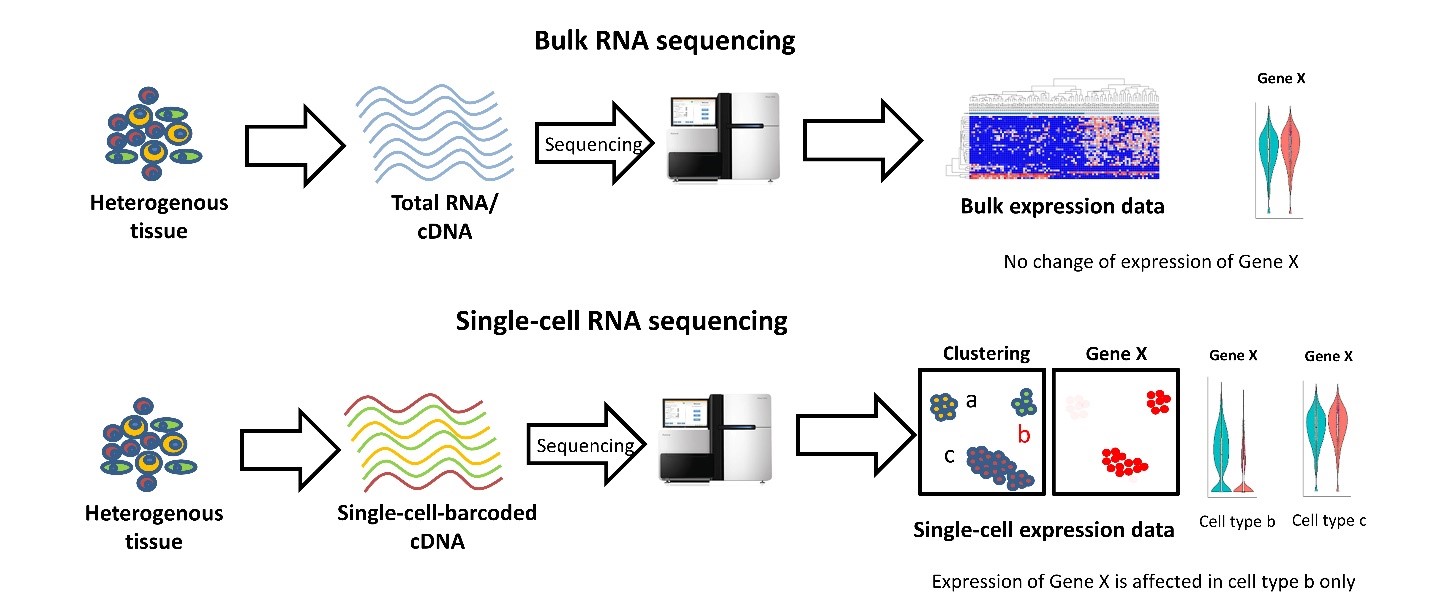 1.1.bulk_vs_scRNA