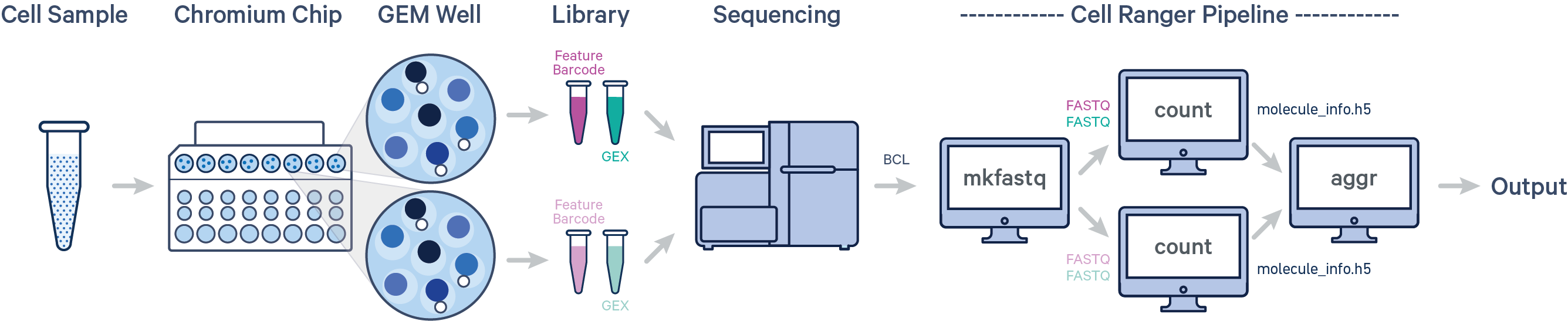 cellranger multiple libraries