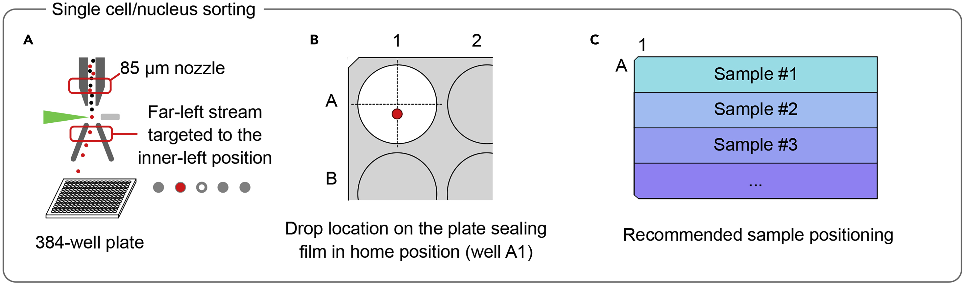 Fig4.jpg