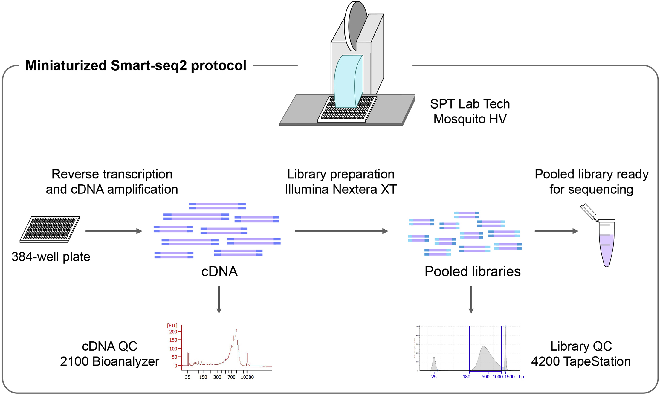 Fig6.jpg